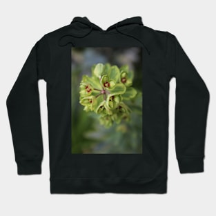 Extra green euphorbia Hoodie